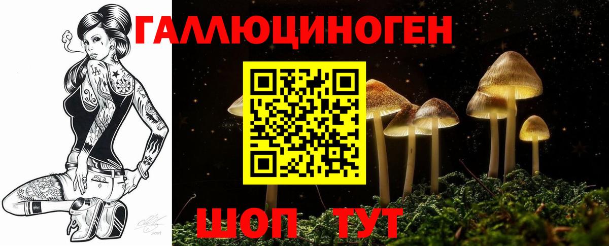 Псилоцибиновые грибы мицелий Котовск