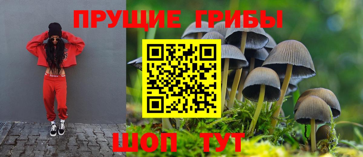 Псилоцибиновые грибы MAGIC MUSHROOMS  Псилоцибиновые грибы GOLDEN TEACHER  Котовск  купить закладку  Вход с VPN 